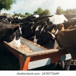 2016年度全球足球赛事精彩直播全赛程表 5d4872