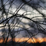 2016年乒乓球赛事精彩对决全程直播 5o8ch