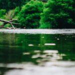 2016年CCTV5乒乓球赛事全程直播精彩回顾 6ixoo