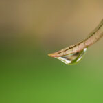 2016年:直播元年,风口上的全民狂欢时代 dbd5sgmzc