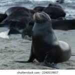 2015年韩国直播源全收录:热门频道与稳定链接合集 ez78yh22