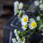 2016年双色球全年开奖号码完整回顾 m7tnw7ej