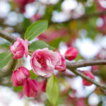 3d开奖结果307期开奖号码最新公布 nvoy3fyymf