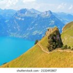 2016年3d开奖结果历史详细查询 sxwhxo5