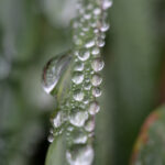 2016年最新直播平台大盘点与趋势解析 vdt7kv3py